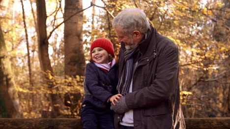 granddaughter on autumn walk with grandfather sits on fence