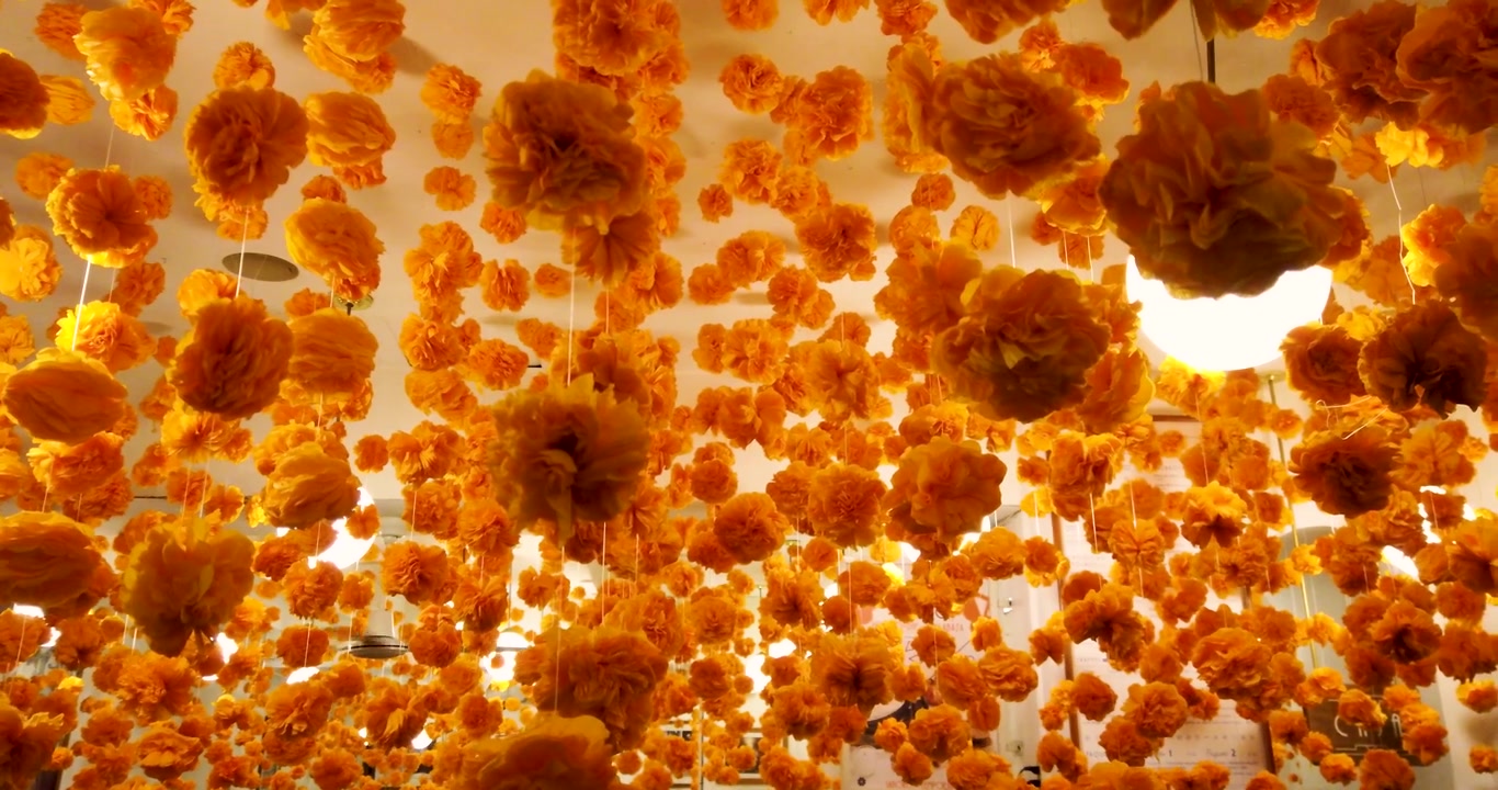 Dettaglio di una decorazione del Día de Muertos con fiori di Cempasúchil appesi all'interno di una location nel cuore di Città del Messico.