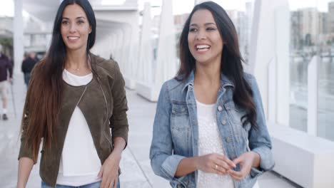 Two-young-women-strolling-down-a-promenade