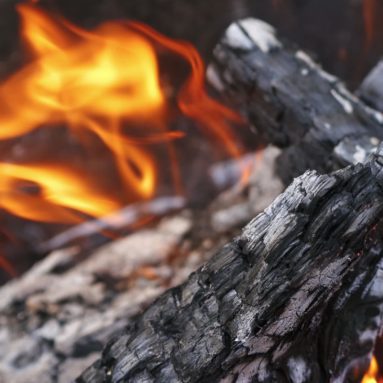 Firewood in flame closeup
