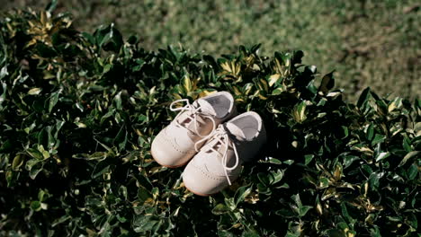 child's white shoes on green bush leaves