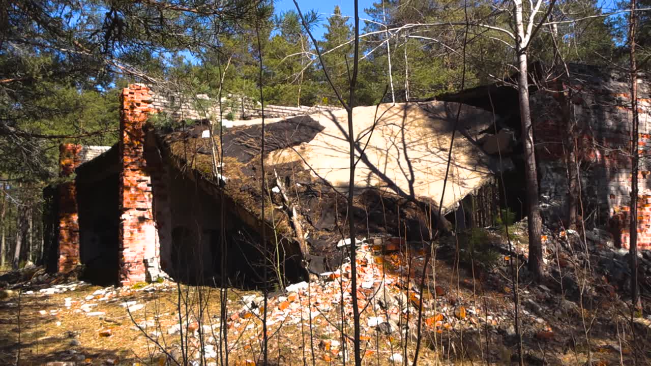 Struttura in rovina di mattoni e cemento di un vecchio bunker militare abbandonato, ricoperto di vegetazione in una fitta pineta in una giornata di sole con un cielo azzurro limpido e ombre in movimento dagli alberi.
