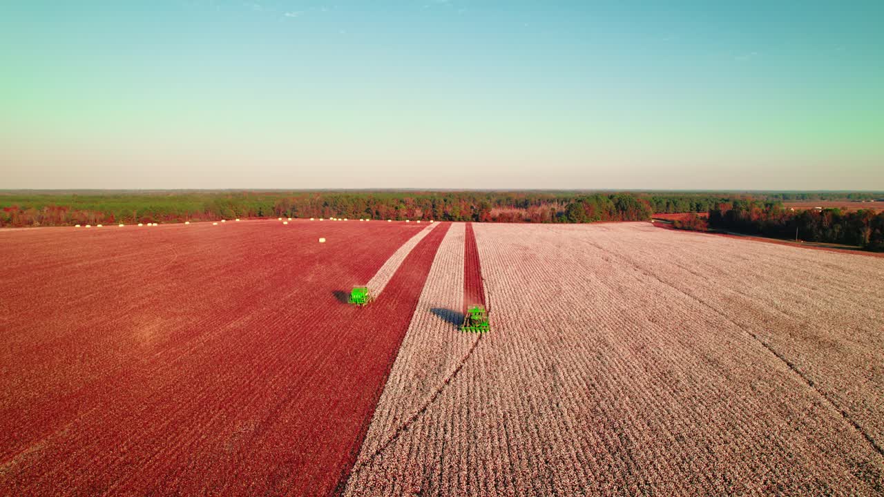 두 개의 초록색 조합이 광활한 에서 면화 수확을 하는 공중 촬영, 지평선이 멀리까지 어