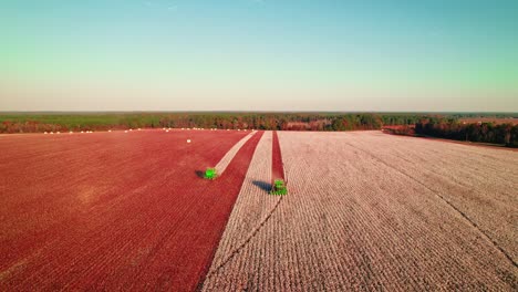 Toma-Aérea-De-Dos-Cosechadoras-Verdes-Recogiendo-Algodón-En-Un-Vasto-Campo,-Con-El-Horizonte-Extendiéndose-En-La-Distancia