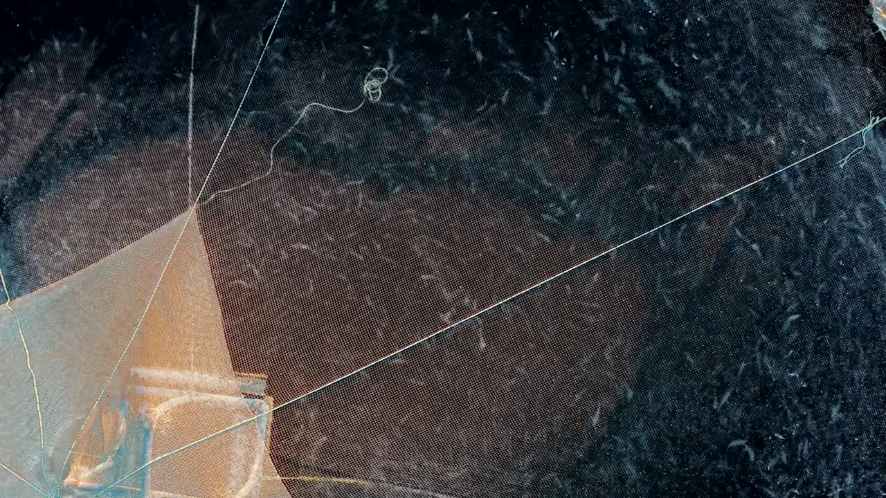 열린 바다에서 물고기를 키우기 위한 케이지의 클로즈업