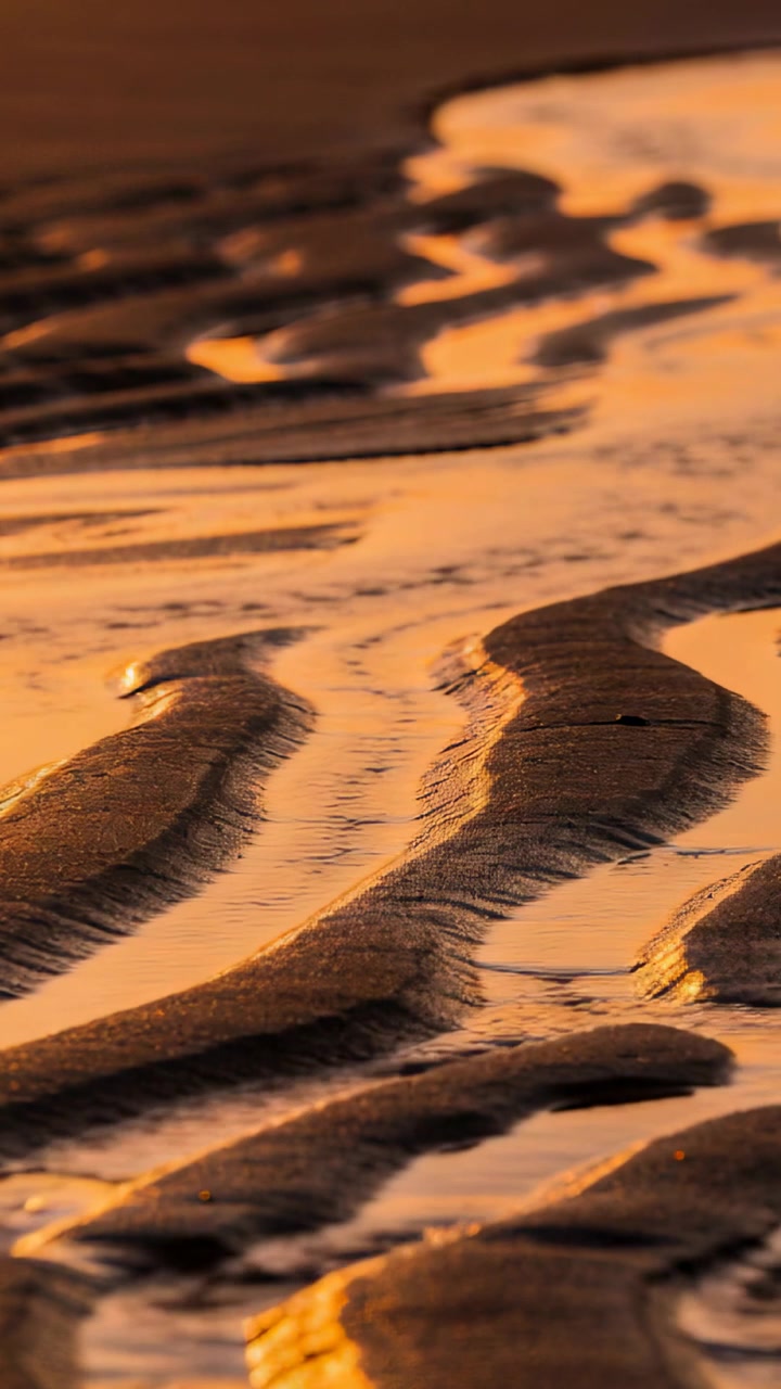 Vertical video: Shifting low sun, shallow channels and ripples changing on wet sand as tide recedes