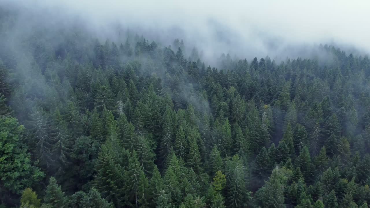 Vista aerea ascendente di una scura foresta montana con grandi nuvole bianche e cupe in rapido movimento, nei Vosgi, Francia, 4K