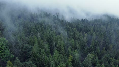 Ascending-aerial-view-of-a-dark-mountain-forest-with-big-fast-moving-moody-white-clouds,-in-Vosges,-France,-4K