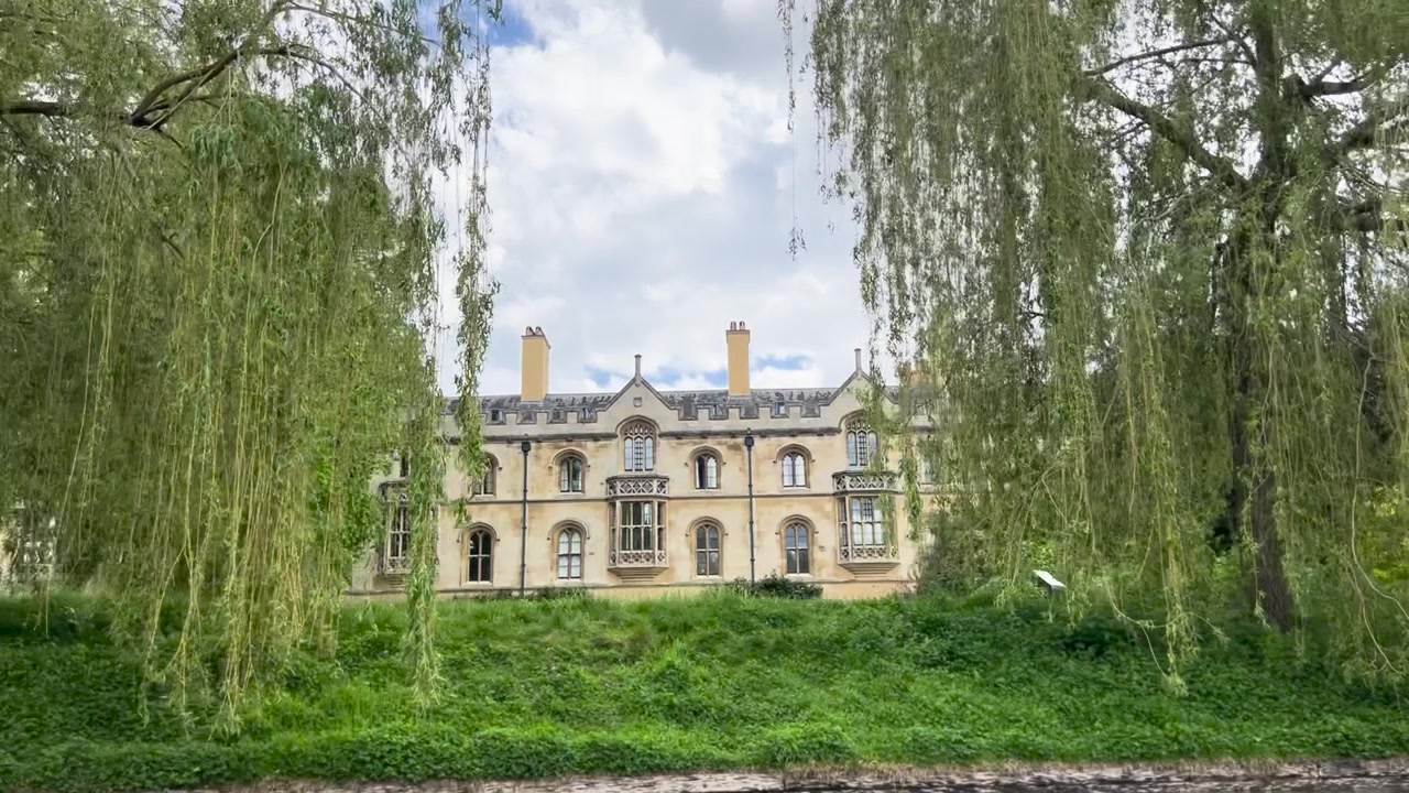 Salici a Cambridge, Punting sul fiume Cam.