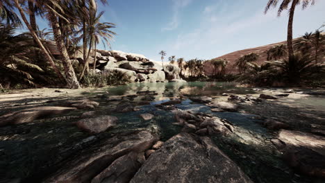 an desert oasis in the oman