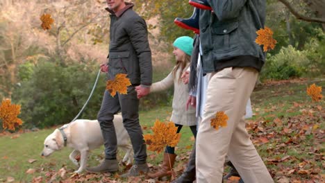 digital composition of autumn maple leaves icons floating over caucasian family walking in the park