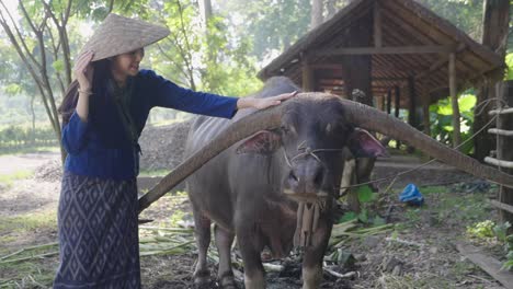 woman interacting with water buffalo