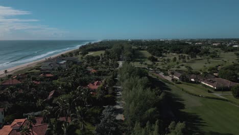 Drone-view-of-highway-along-the-pine-trees-and-near-beachside