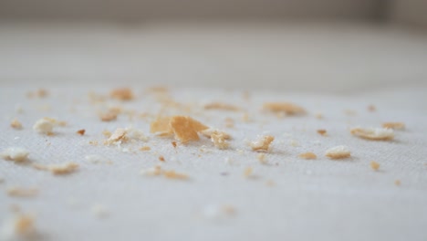 bread crumbs on a white carpet