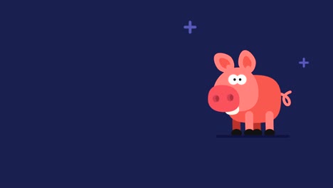 pig and flickering stars funny animal character chinese horoscope