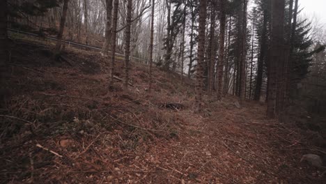 Devastado-Deforestado-Estado-Del-Montseny-Bosques-España