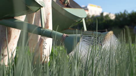 Farmer-Watering-Organic-Vegetable-Garden-with-Watering-Can---Slow-Motion