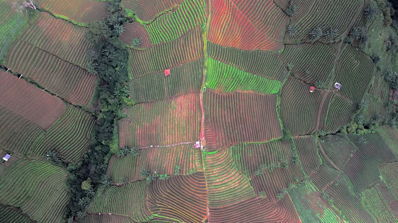 terrazas de plantación de panyaweuyan agricultura de rayas dramáticas cultivos agrícolas abrazando las laderas volcánicas del paisaje de indonesia