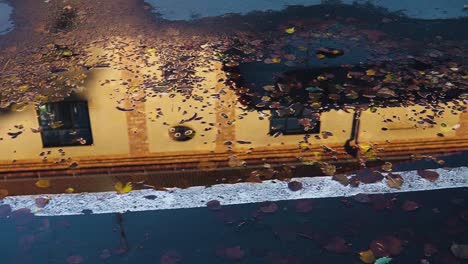 toma panorámica de un charco lleno de hojas de otoño en una calle