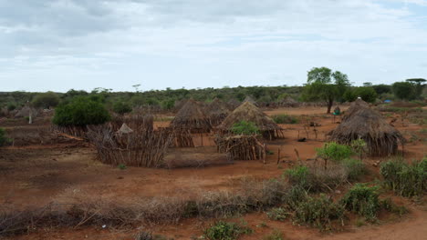 flying on typical thatched roof wooden settlement in hamar tribe, omo valley, ethiopia