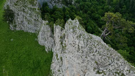 thin grey white cliff in vietnam separates lush forest, aerial dolly