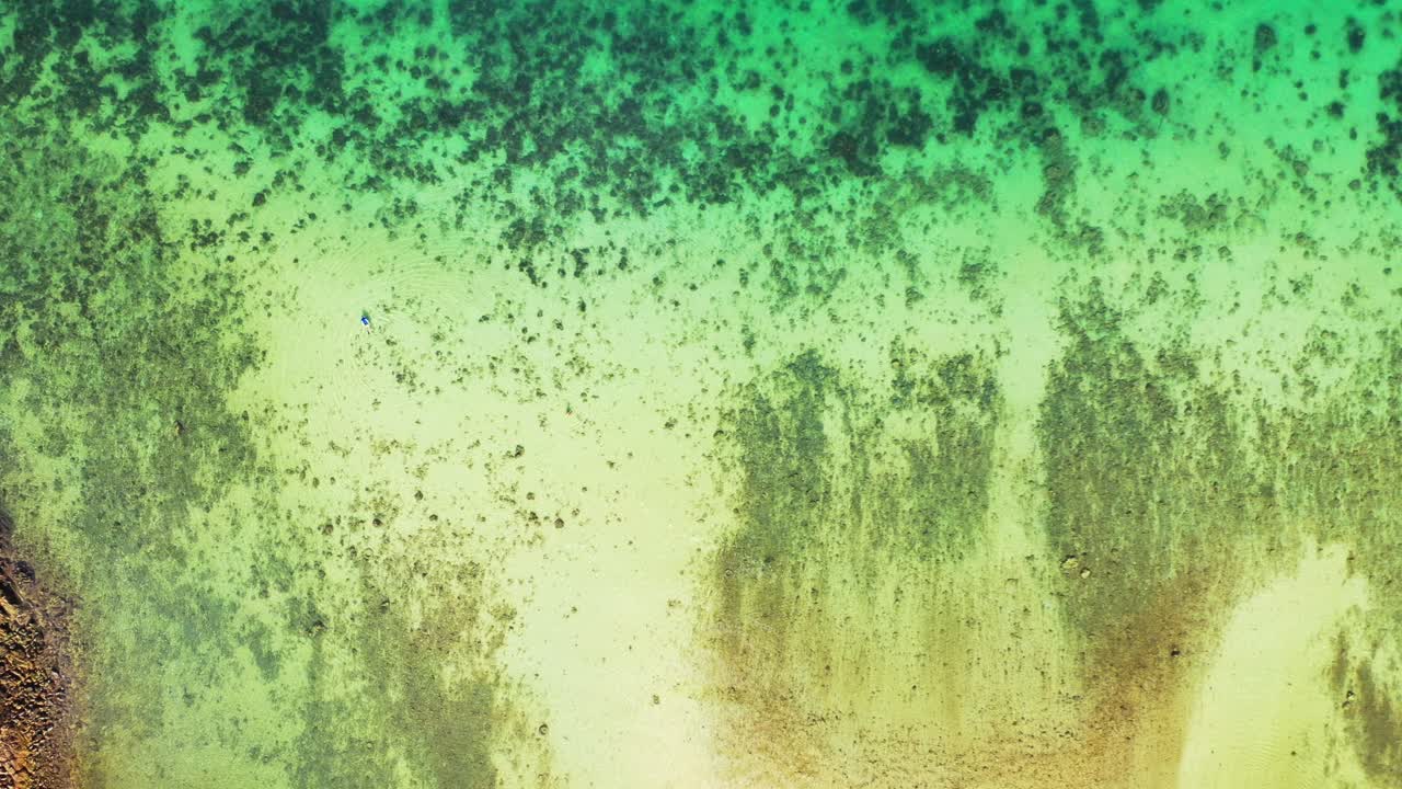 청록색 석호의 잔잔한 맑은 물 아래 절벽, 백사장, 산호가 있는 열대 섬 해안의 아름다운 바다 질감