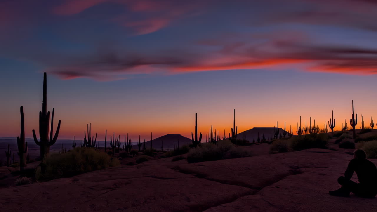 Sunset in the Desert with Saguaro Cactus and Person