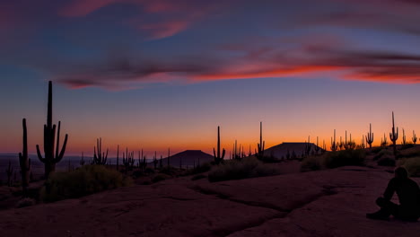 sunset in the desert with saguaro cactus and person