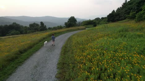 woman-walks-wihte-lab,-white-labrador-dog-on-trail-in-appalachian-mountain-setting-aerial