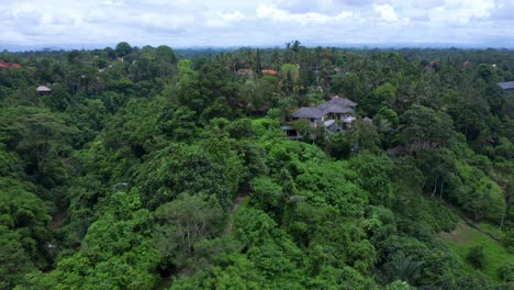 popular nature trail in campuhan ridge walks in ubud, indonesia