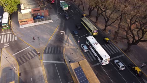 tráfico de autobuses en el boulevard arbolado en el barrio de chacarita, buenos aires