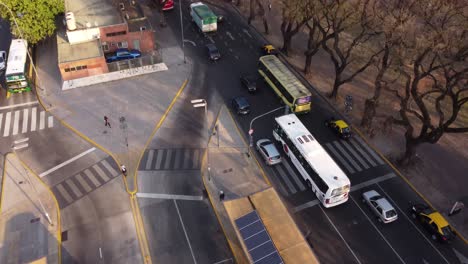 buses traffic on boulevard tree-lined in chacarita neighborhood, buenos aires