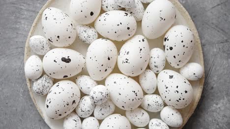 composition of white traditional dotted easter eggs in white ceramic plate