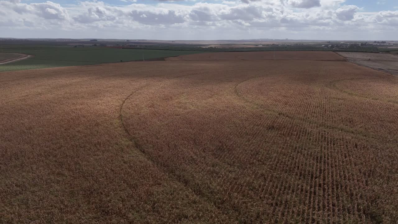 Aerial view of huge corn monoculture in Portugal