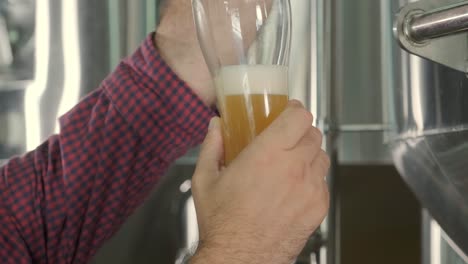 young brewer wearing a leather apron is tasting beer at a modern brewery