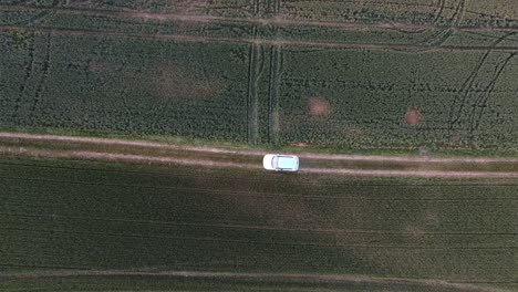 Vista-Superior-De-Un-Pequeño-Coche-Blanco-Y-Azul-Que-Comienza-En-Una-Carretera-Todoterreno-En-Campo-Verde