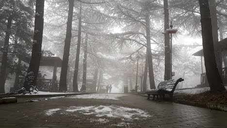 Pathway-full-of-trees-and-people's-silhouettes-from-afar-during-snowfall-in-the-Mtatsminda-Park-in-Georgia