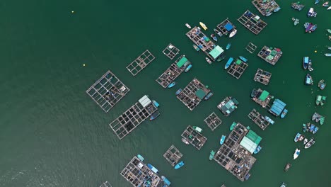 Vista-Aérea-De-Los-Barcos-De-Pesca-Y-Balsas-De-Las-Piscifactorías-Inclinándose-Hacia-Arriba-Para-Mostrar-Park-Island,-Una-Urbanización-Privada,-En-La-Isla-Ma-Wan,-Hong-Kong,-China