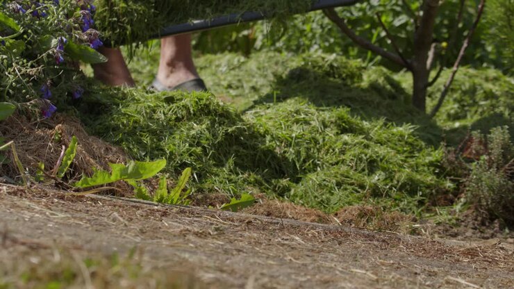 Person pour freshly cut grass for compost on sunny day, low angle view