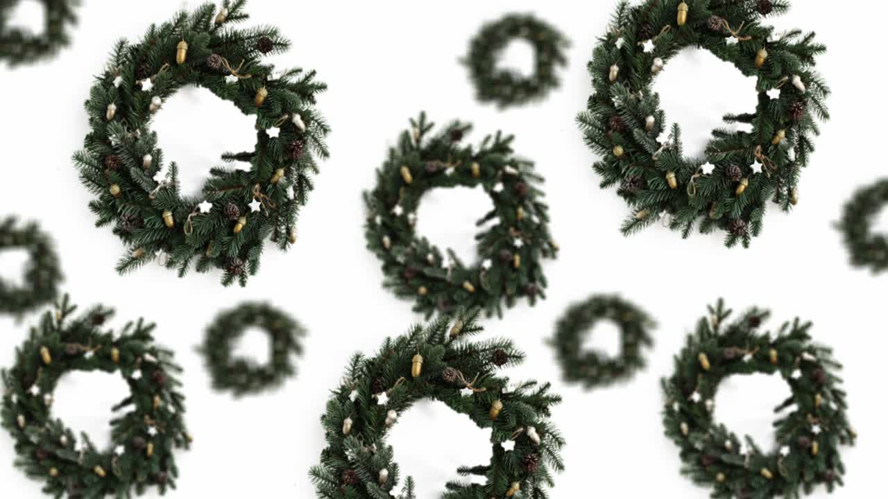 크리스마스 초록색 소나무 꽃받침은 색 배경에 다양한 지름의 지름을 가지고 있습니다. 4k uhd 영상. 미래 디자인, 모션 디자인, 애니메이션, 팝 아트 디자인, 크리에이티브 크리스마스 과자, 음식 개념.