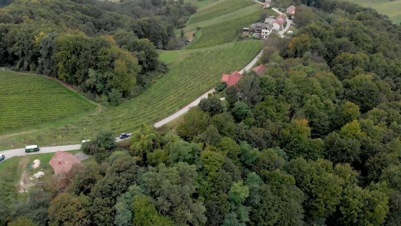 Cars and vans driving through the wine region of Jeruzelum in Slovenia from an aerial perspective