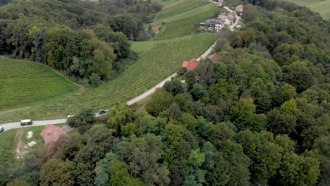 cars and vans driving through the wine region of jeruzelum in slovenia from an aerial perspective