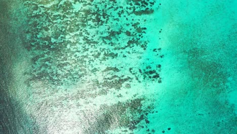 Amazing-sea-texture-with-coral-reef-patterns-thriving-on-white-sand-of-sea-bottom-seen-through-turquoise-lagoon-reflecting-sunlight,-copy-space