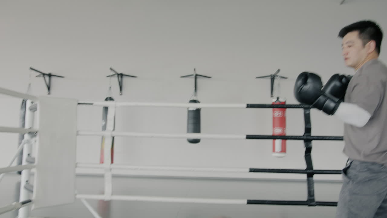 권투 훈련 세션