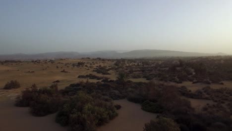 Flying-over-sandy-relief-with-bushes