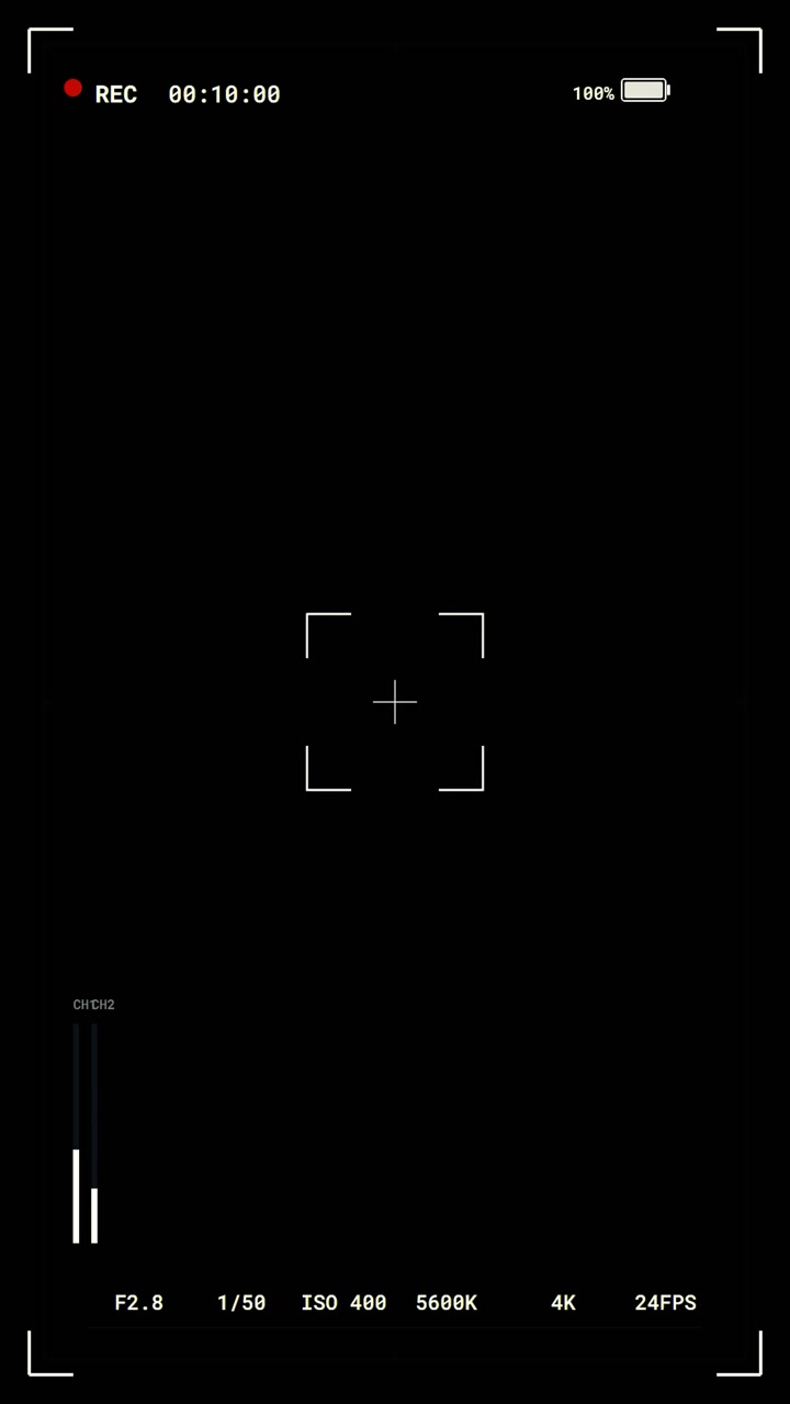 Digital Camera Recording Interface Overlay