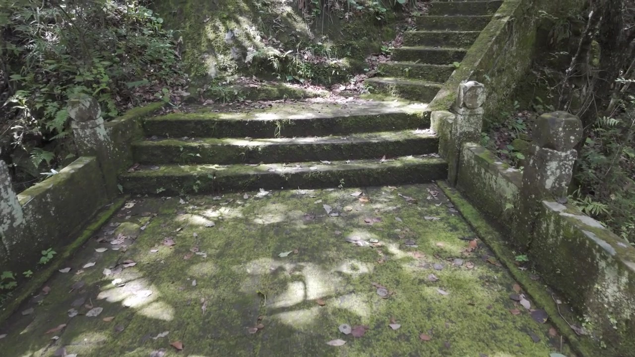 Una ripresa cinematografica in movimento attraverso un vecchio ponte di pietra coperto di muschio che conduce a scale in profondità in una mistica foresta verde. Ottimo per temi di natura, benessere e sostenibilità.