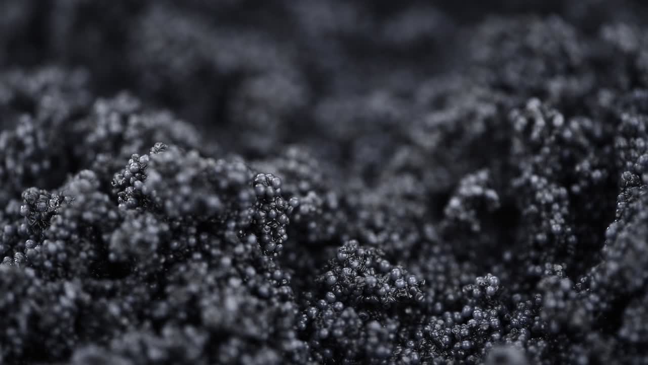 시무스 루프로 회전하는 검은 카비아르 (close-up)