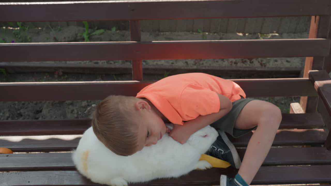 Boy Lovingly Strokes Soft White Rabbit Outdoors, Child Interacts Kindly With Fluffy Rabbit On Sunny Porch, Young Caretaker Lovingly Grooms And Plays With Gentle White Bunny In Backyard Setting