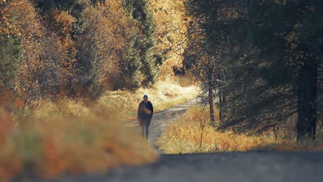 a woman walks a dog along the forest road